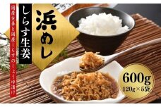 浜めししらす生姜 600g(120g×5袋) | 漬物 詰め合わせ ギフト 贈り物 贈答品 おつまみ おかず 香の蔵