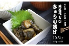 相馬ひと口きゅうり漬 1,050g (105g×10袋) | 漬物 詰め合わせ ギフト 贈り物 贈答品 おつまみ おかず 香の蔵