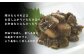 相馬ひと口きゅうり漬 1,050g (105g×10袋) | 漬物 詰め合わせ ギフト 贈り物 贈答品 おつまみ おかず 香の蔵
