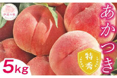 【2025年出荷分 先行予約】糖度12度以上 福島県産 あかつき 5kg 特秀 透過式光センサー選別 2025年7月下旬～2025年8月上旬発送 先行予約 予約 伊達の桃 桃 もも モモ 果物 くだもの フルーツ 名産品 国産 食品 F20C-125