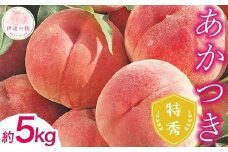 【2026年出荷分先行予約】福島県産 特秀 あかつき 約5kg (15～18玉) ふくしま未来農業協同組合 特秀 透過式光センサー選別 糖度12度以上 伊達の桃 桃 フルーツ 果物 もも モモ momo F20C-125