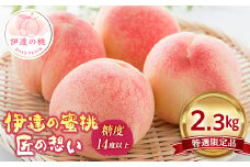 2025年出荷分 《先行予約》 特選限定品 福島県産 あかつき 2.3kg 特選 糖度14度以上 透過式光センサー 2025年7月下旬～2025年8月上旬発送 先行予約 予約 数量限定 伊達の桃 伊達の蜜桃 桃 もも モモ 果物 くだもの フルーツ 国産 食品 F20C-124