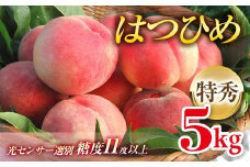 2025年出荷分 《先行予約》 福島県産 はつひめ 5kg 特秀 糖度11度以上 透過式光センサー選別 2025年7月上旬～2025年7月中旬発送 先行予約 予約 伊達の桃 桃 もも モモ 果物 くだもの フルーツ 国産 食品 F20C-127