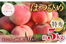 【2026年出荷分先行予約】福島県産 特秀 はつひめ 約5kg (18-22玉) ふくしま未来農業協同組合 特秀 透過式光センサー選別 糖度11度以上 伊達の桃 桃 フルーツ 果物 もも モモ momo F20C-127