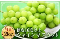 福島県伊達市産 特秀 シャインマスカット 2kg以上（3~4房） F20C-128