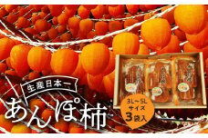 伊達市発祥の特産品 あんぽ柿 （蜂屋柿）3袋入 F20C-130