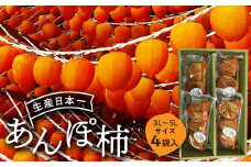 伊達市発祥の特産品 あんぽ柿 （蜂屋柿）4袋入 F20C-131