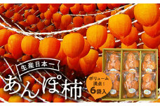 伊達市発祥の特産品 あんぽ柿（蜂屋柿）6袋入り F20C-132