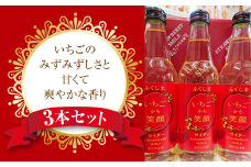 いちごサイダー 3本セット F20C-004