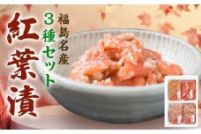 福島名産 阿武隈の紅葉漬 紅鮭入り （鮭の米麹漬け） 440g 福島県 伊達市 東北 鮭 さけ サケ しゃけ シャケ 発酵食品 F20C-019