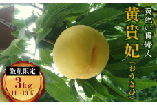 福島県産 黄貴妃 約3kg 2025年8月中旬～2025年9月初旬発送 2025年出荷分 先行予約 予約 数量限定 伊達の桃 桃 もも モモ 黄桃 果物 くだもの フルーツ 国産 食品 F20C-158