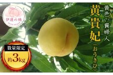 【2026年出荷分先行予約】福島県産 黄貴妃 約3kg (11～13玉) 有限会社志賀青果 数量限定 伊達の桃 桃 フルーツ 果物 もも モモ momo F20C-158