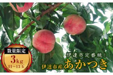福島県産 あかつき 約3kg 数量限定 2025年7月下旬～2025年8月中旬発送 2025年出荷分 先行予約 予約 伊達の桃 桃 もも モモ 果物 くだもの フルーツ 名産品 国産 食品 F20C-159