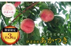 【2026年出荷分先行予約】福島県産 あかつき 約3kg (11～13玉) 有限会社志賀青果 伊達の桃 桃 フルーツ 果物 もも モモ momo F20C-159
