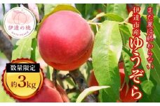 【2026年出荷分先行予約】福島県産 ゆうぞら 約3kg (11～13玉) 有限会社志賀青果 小さめ 固め 伊達の桃 桃 フルーツ 果物 もも モモ momo F20C-160