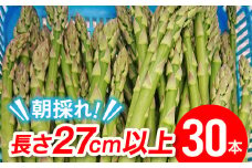 【伊達市産J-GAP取得】朝採りアスパラ約1kg（27cm以上・30本程度） F20C-172