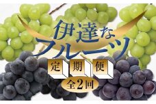 ＜2025年秋から開始の定期便＞伊達なフルーツ定期便（ぶどう2種）果物 フルーツ 葡萄 ブドウ 福島県 伊達市 F20C-477