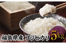 福島県産 コシヒカリ 5kg 令和6年産米 精米 白米 お米 おこめ ご飯 ごはん 東北 F20C-273