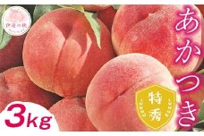 ももカテゴリランキング3位獲得！【2025年出荷分 先行予約】福島県産 あかつき 3kg 特秀 糖度12度以上 透過式光センサー選別 2025年7月下旬～2025年8月上旬発送 先行予約 予約 伊達の桃 桃 もも モモ 果物 くだもの フルーツ 名産品 国産 食品 F20C-278