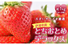 伊達市産 とちおとめデラックス 約1kg (24〜30粒)  いちご イチゴ 苺 F20C-276