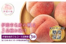 【2026年出荷分先行予約】福島県産 伊達な桃のフルコース定期便 全3回 ふくしま未来農業協同組合 はつひめ あかつき 川中島白桃 各約5kg 特秀 白桃 伊達の桃 桃 フルーツ 果物 もも モモ momo F20C-287