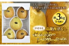 ＜高級西洋なし＞とろける食感ゼネラル・レクラ－ク(大) F20C-298