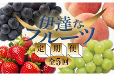 ＜2025年春から開始の定期便＞伊達なフルーツ定期便（いちご・もも2種・ぶどう2種）果物 フルーツ 苺 イチゴ 桃 モモ 葡萄 ブドウ 福島県 伊達市 F20C-484