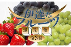 ＜2025年春から開始の定期便＞伊達なフルーツ定期便（いちご・ぶどう2種）果物 フルーツ 苺 イチゴ 葡萄 ブドウ 福島県 伊達市 F20C-487