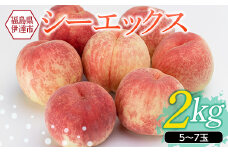 福島県産 伊達市で開発 シーエックス 2kg 2025年10月上旬～2025年10月中旬発送 2025年出荷分 先行予約 予約 大玉 固め 伊達の桃 CX 桃 もも モモ 果物 くだもの フルーツ 国産 食品 F20C-151