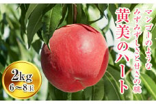 福島県産 伊達市で開発 黄美のハート 2kg 新品種 2025年9月上旬～2025年9月中旬発送 2025年出荷分 先行予約 予約 大玉 伊達の桃 桃 もも モモ 果物 くだもの フルーツ 国産 食品 F20C-150