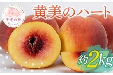 【2026年出荷分先行予約】福島県産 黄美のハート 約2kg (6～8玉) 高橋もも園 大玉 伊達の桃 桃 フルーツ 果物 もも モモ momo F20C-150