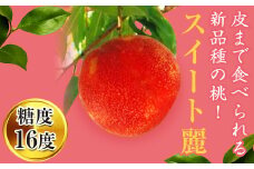 皮まで食べられる新品種 福島県産 スイート麗 1.5kg 2025年8月下旬～2025年9月上旬発送 2025年出荷分 先行予約 予約 伊達の桃 桃 もも モモ 果物 くだもの フルーツ 国産 食品 F20C-149