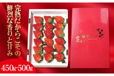 プレミアムいちご 約450g～500g（12粒～15粒） F20C-174