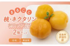 まるごと桃・ネクタリン2種セット（白桃2つ、黄金桃1つ） F20C-335