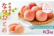 【2026年出荷分先行予約】福島県産 なつおとめ 約3kg (9～16玉) 有限会社伊達水蜜園 新品種 大玉 伊達の桃 桃 フルーツ 果物 もも モモ momo F20C-349