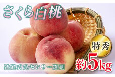 2025年出荷分 《先行予約》 福島県産 さくら白桃 約5kg 特秀 12度以上 透過式光センサー 2025年9月上旬～2025年9月中旬発送 先行予約 予約 大玉 固め 白桃 伊達の桃 桃 もも モモ 果物 くだもの フルーツ 国産 食品 F20C-353