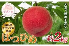 【2026年出荷分先行予約】福島県産 はつひめ 約2kg (7～10玉) 斎藤果樹園 オリジナル品種 伊達の桃 桃 フルーツ 果物 もも モモ momo F20C-371