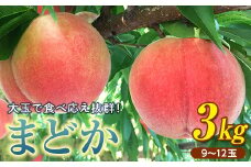 福島県産 まどか 3kg 2025年8月上旬～2025年8月中旬発送 2025年出荷分 先行予約 予約 大玉 固め 伊達の桃 桃 もも モモ 果物 くだもの フルーツ 国産 食品 F20C-370
