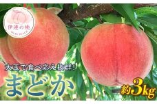 【2026年出荷分先行予約】福島県産 まどか 約3㎏ (9～12玉) 枝並農園 大玉 固め 伊達の桃 桃 フルーツ 果物 もも モモ momo F20C-370