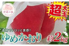【2026年出荷分先行予約】福島県産 ゆめかおり 約2㎏ (4～6玉) 斎藤果樹園 極大玉 大きめ 固め 伊達の桃 桃 フルーツ 果物 もも モモ momo F20C-372