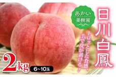 福島県産 日川白鳳 2kg 2025年7月上旬～2025年7月中旬発送 2025年出荷分 先行予約 予約 伊達の桃 桃 もも モモ 果物 くだもの フルーツ 国産 食品 F20C-447