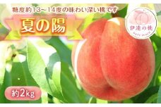 【2026年出荷分先行予約】福島県産 夏の陽 約2kg (7～9玉) 高橋もも園 中玉 柔らかめ 伊達の桃 桃 フルーツ 果物 もも モモ momo F20C-454