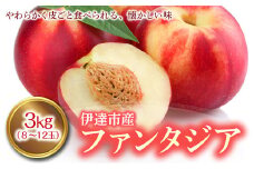【先行予約】あかい果樹園 ファンタジア3kg（8～12玉） F20C-445