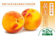 福島県産 伊達市で開発 黄美の月 2kg 新品種 2025年9月下旬～2025年10月上旬発送 2025年出荷分 先行予約 予約 大玉 伊達の桃 桃 もも モモ 果物 くだもの フルーツ 国産 食品 F20C-464