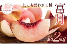【2026年出荷分先行予約】福島県産 富月 約2㎏ (5～7玉) 斎藤果樹園 珍しい 伊達の桃 桃 フルーツ 果物 もも モモ momo F20C-490