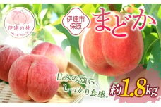 【2026年出荷分先行予約】福島県産 まどか 約1.8kg (5～10玉) あかい果樹園 大玉 固め 伊達の桃 桃 フルーツ 果物 もも モモ momo F20C-504