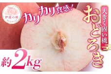【2026年出荷分先行予約】福島県産 おどろき 約2kg (5～8玉) 農業生産法人種まきうさぎ株式会社 固め 固い 伊達の桃 桃 フルーツ 果物 もも モモ momo F20C-496