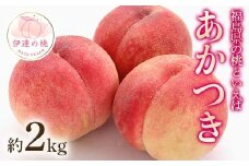 【2026年出荷分先行予約】福島県産 あかつき 約2kg (5～8玉) 農業生産法人種まきうさぎ株式会社 伊達の桃 桃 フルーツ 果物 もも モモ momo F20C-497