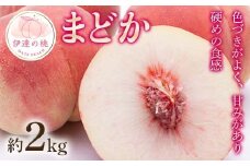 【2026年出荷分先行予約】福島県産 まどか 約2kg (5～8玉) 農業生産法人種まきうさぎ株式会社 大玉 固め 伊達の桃 桃 フルーツ 果物 もも モモ momo F20C-498