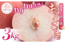 福島県産 おどろき 3kg 2025年出荷分 先行予約 2025年8月上旬～2025年8月中旬発送 予約 固め 固い 伊達の桃 もも モモ 果物 くだもの フルーツ 国産 食品 F20C-499